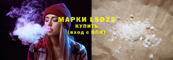 ПСИЛОЦИБИНОВЫЕ ГРИБЫ Вяземский