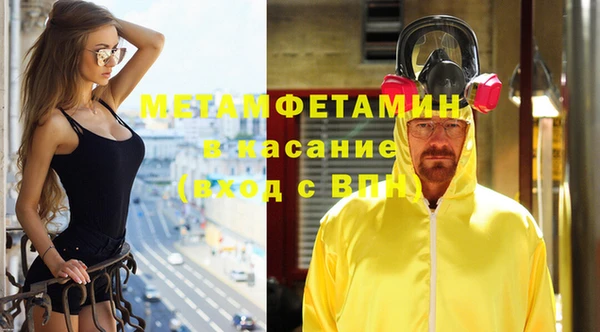 ПСИЛОЦИБИНОВЫЕ ГРИБЫ Вяземский